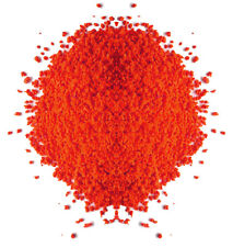 RED EGG BISCUIT 2kg Canary