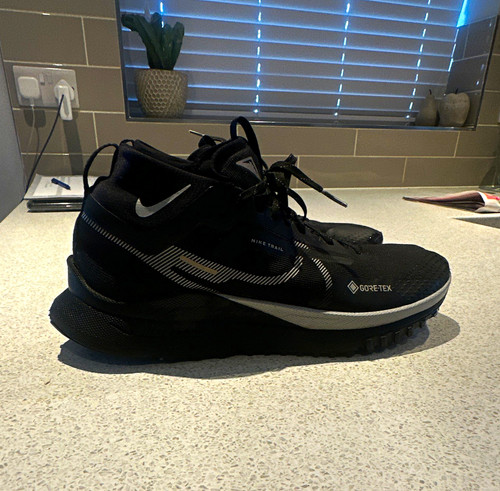 Nike pegasus gore tex - pegasus, gore-tex