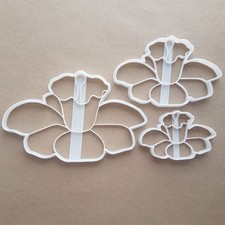 Daffodil Plant Flower Shape