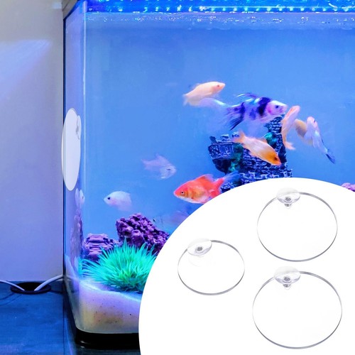 Fish training acrylic - training,