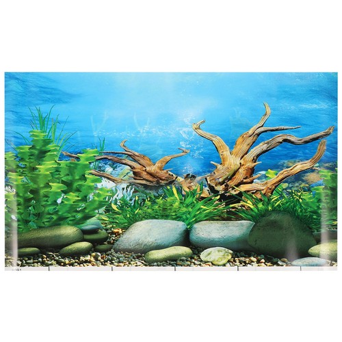 Fish tank wallpaper paper - fish,