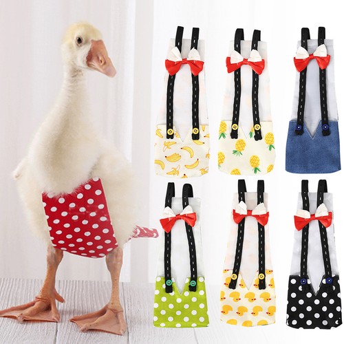 Duck diaper chicken - diaper, goose