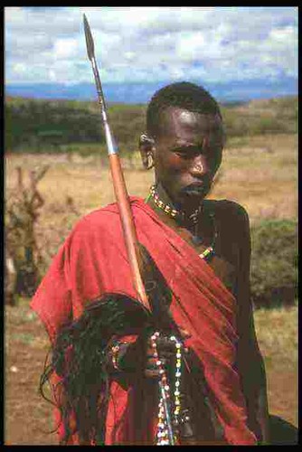 253000 young masai warrior - young,