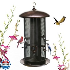 Nature's Rhythm Metal Hopper Bird Feeder, Dual Seed Compartments, 10 Feeding 
