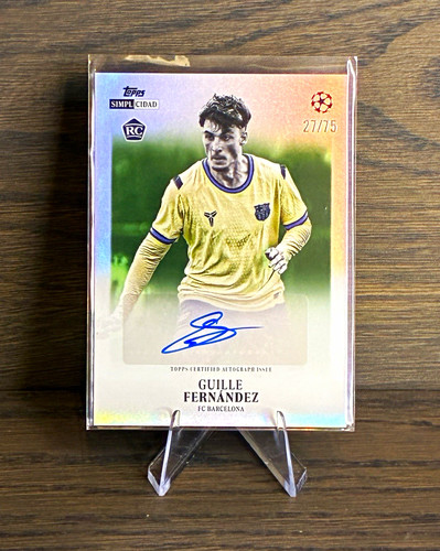 Guille fernández auto - guille, rc