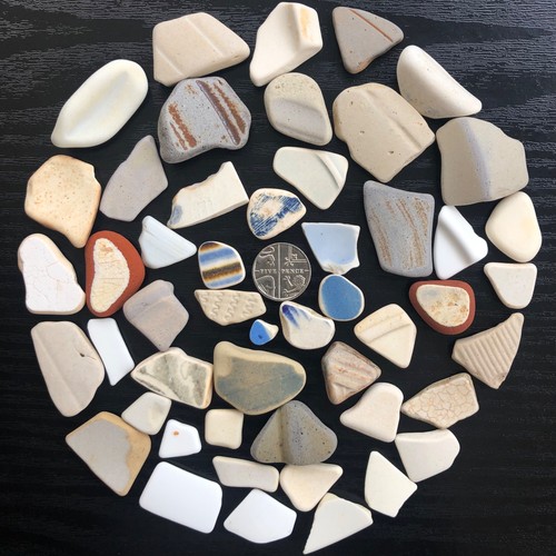 Pieces sea pottery - 50,
