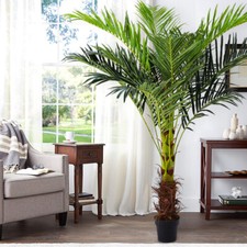 6FT Large Artificial Palm Tree