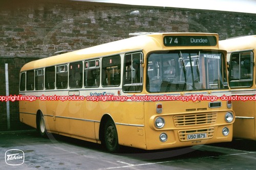 Bus photo northern scottish - -,