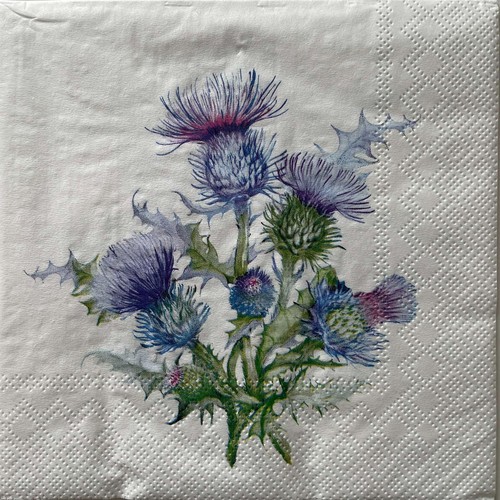 Luncheon paper napkins - 2,
