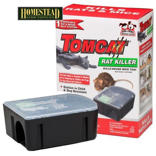 Tomcat mice rat station - rat, for