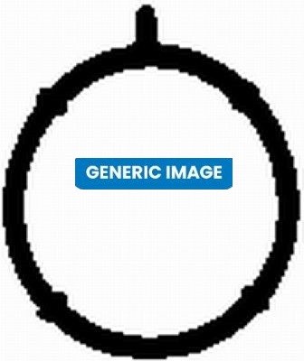 Intake manifold gasket fits - intake,