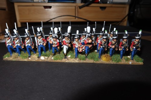 Perry 28mm pro painted - perry,