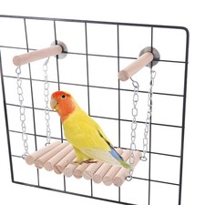 Bird parrot ladder - parrot, sleep