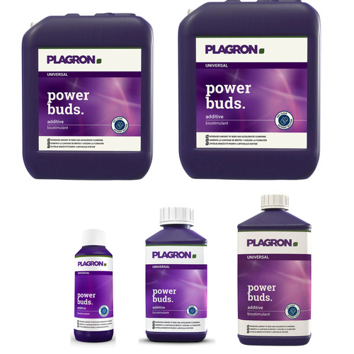 Plagron power buds 100 - power, –