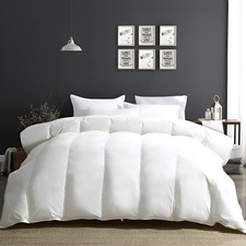 Anti-Allergy Duvet Quilt –