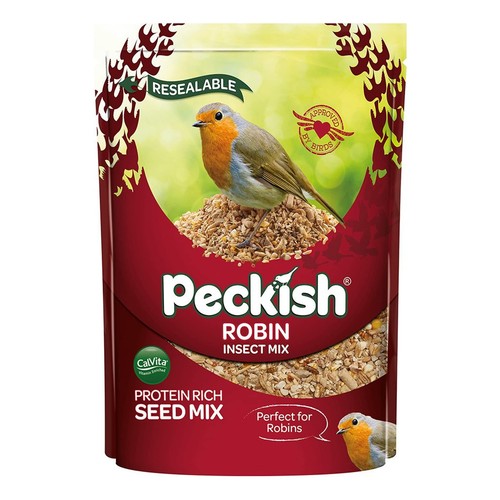 Robin bird seed and insect - bird,