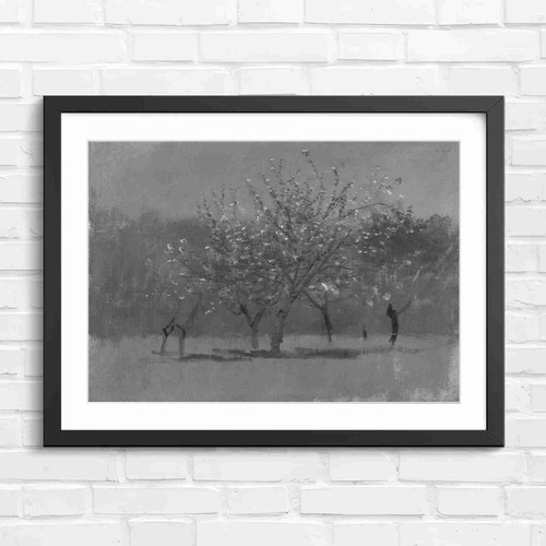 Blooming orchard trees - blooming,