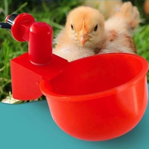Automatic chicken water cup - automatic,