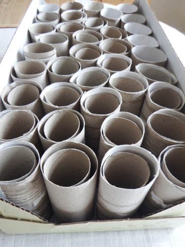 Toilet roll cardboard - toilet,