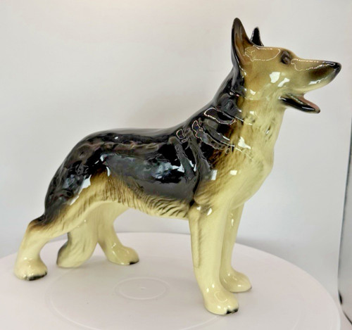 Alsatian german shepherd dog - alsatian,