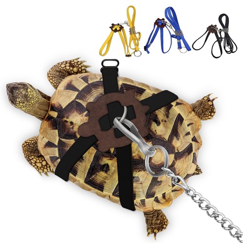 Pet turtle leather - pet,
