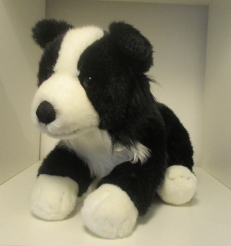 Animal alley sheepdog - animal,