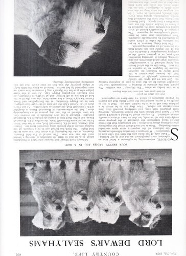 Lord dewar sealyham - dewar's,