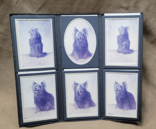 Photos a skye terrier - 6,