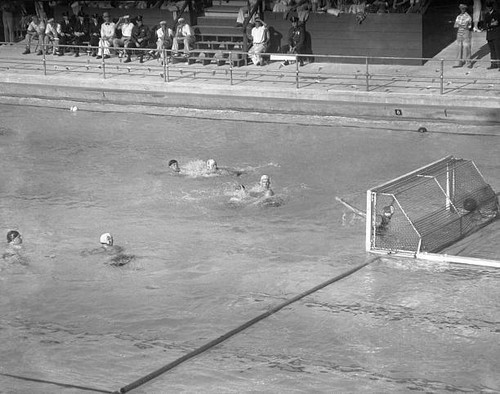 Water polo score - water,