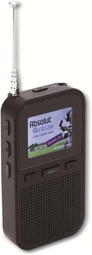 Handheld portable dab fm - handheld, dab+