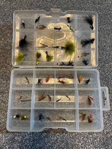 Trout fly fishing flies job - fly,