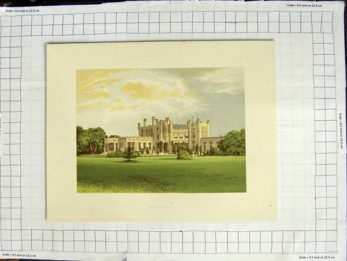 Old antique print - print, 1880