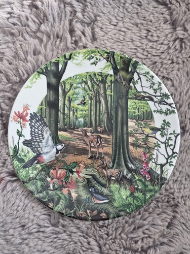 Decorative plate colin - by,
