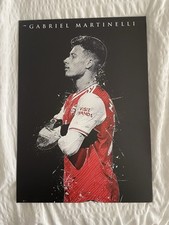 Martinelli Wall Displate (scratches Circled) (no Magnet)