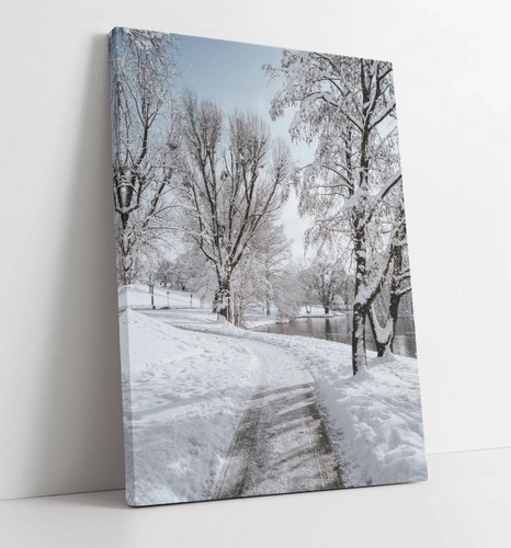 Snowy landscape scene - snowy,
