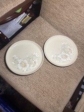 SET OF TWO VINTAGE 1980s DENBY DAYBREAK, SIDE/TEA PLATES