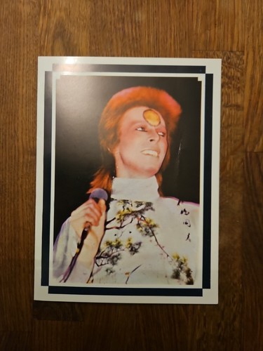 David bowie original 1974 fan - original,