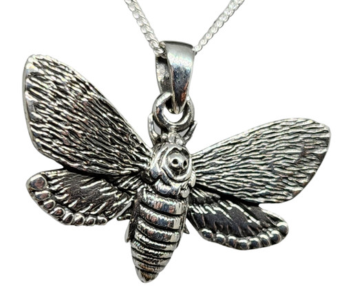 Deaths head hawk moth - head,