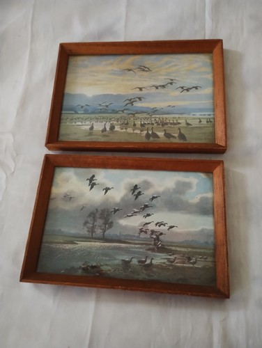 Vintage peter scott framed - vintage,