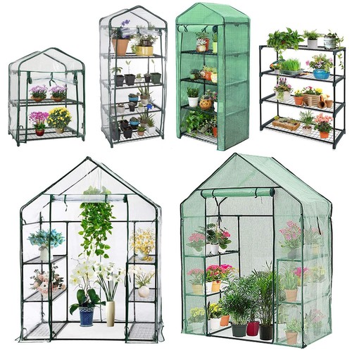Outdoor garden greenhouse - garden,