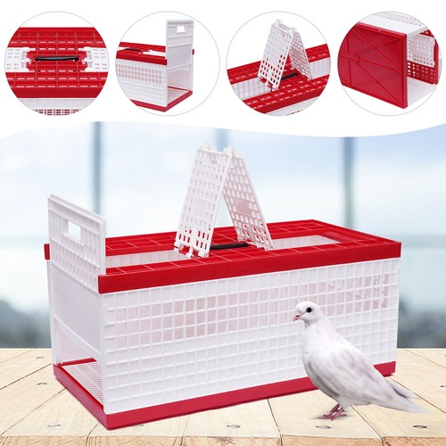 Racing pigeon carrier - carrier, box
