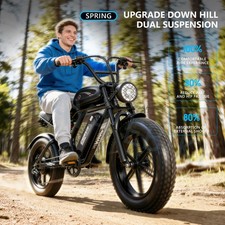 20" Electric Bicycle 48V 15AH