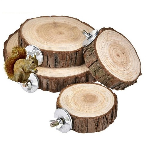 Wooden round parrot - wooden,