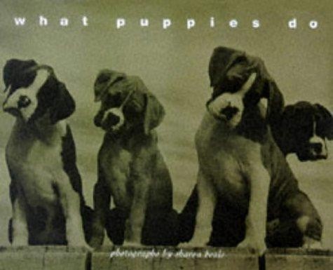 What puppies - what, do