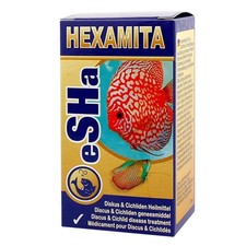 Esha hexamita discus cichlid - esha, &