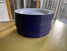 Blue Ridge White Enamel Dinner