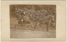 HORSE DRAWN CARRIAGE, WORKING HORSE, WOMAN - Social History Postcard, Real Photo
