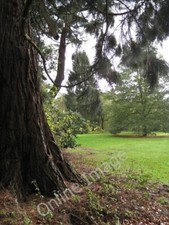 Photo 6x4 Wootton Court