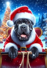 Cane Corso Blue Uncropped Christmas Flag