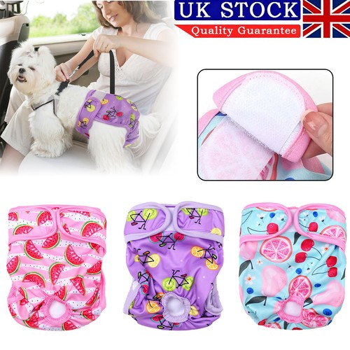 Female pet dog pants - 3x,